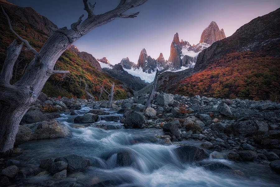 Vitality and Death Under Fitz Roy Photograph by Celia Zhen - Fine Art ...