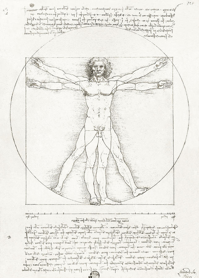 Vitruvian By Leonardo Da Vinci Drawing