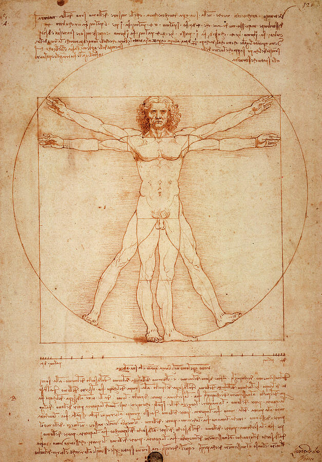 Leonardo Da Vinci Painting - Vitruvian Man, 1490 by Leonardo da Vinci