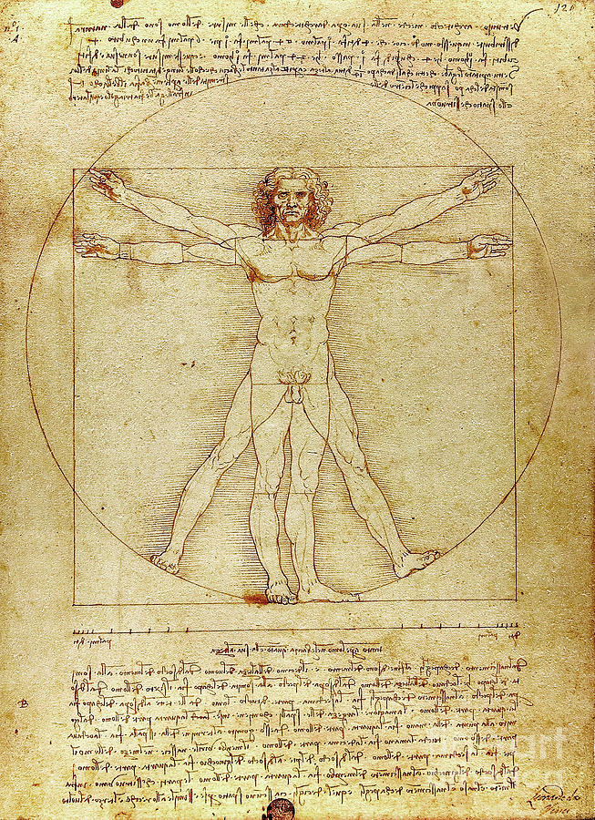 Leonardo Da Vinci Drawing - Vitruvian Man by Leonardo da Vinci 20231102 by Wingsdomain Art and Photography