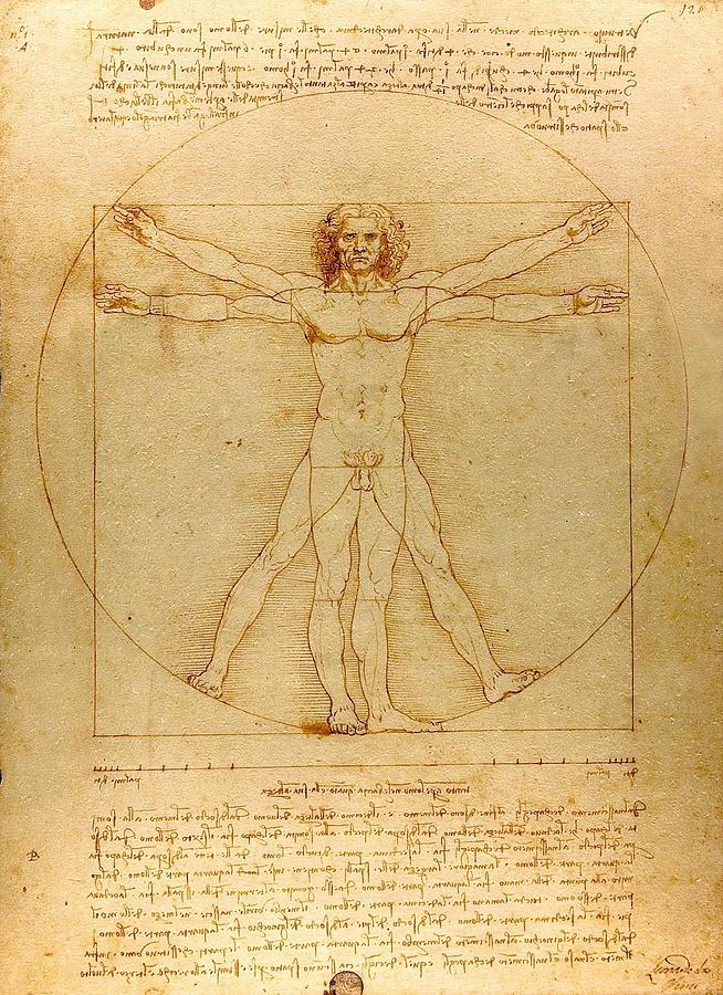 Vitruvian Man c.1490 Drawing by Leonardo da Vinci
