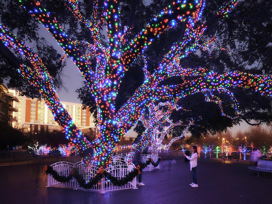 Vitruvian Park Christmas Lights Addison, TX. 122921 Photograph by