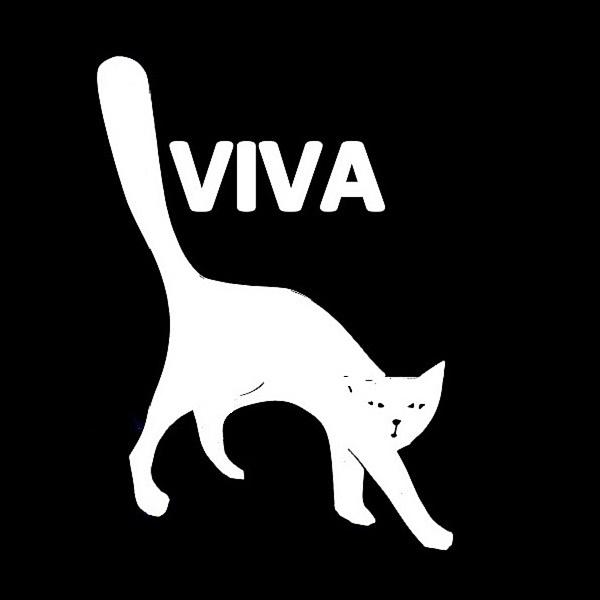 Viv-Cat-Avatar 20/22/02 Photograph by VIVA Anderson