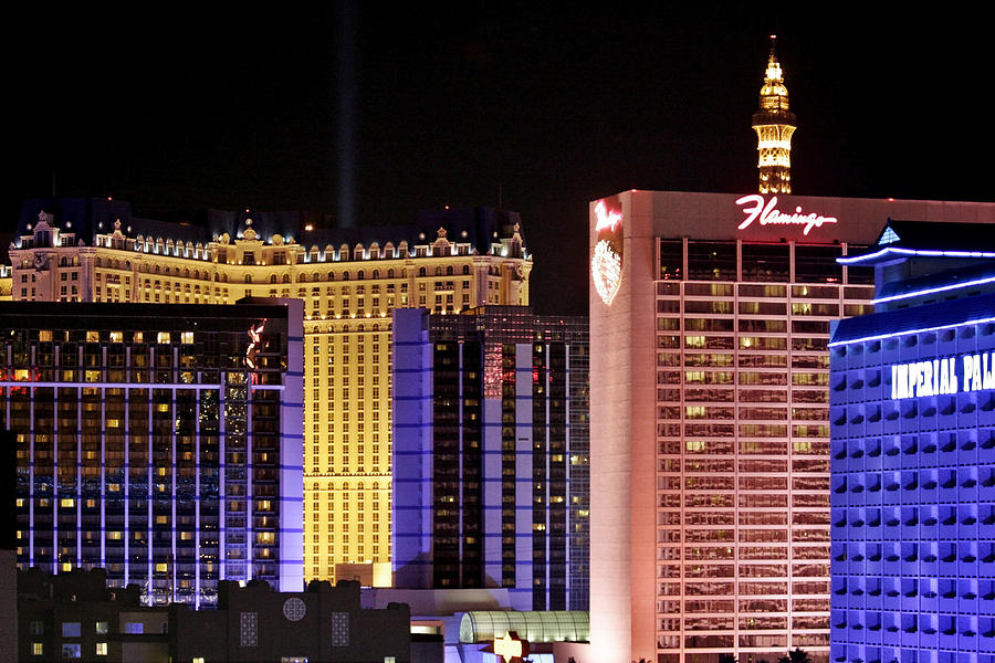 Viva Las Vegas Photograph