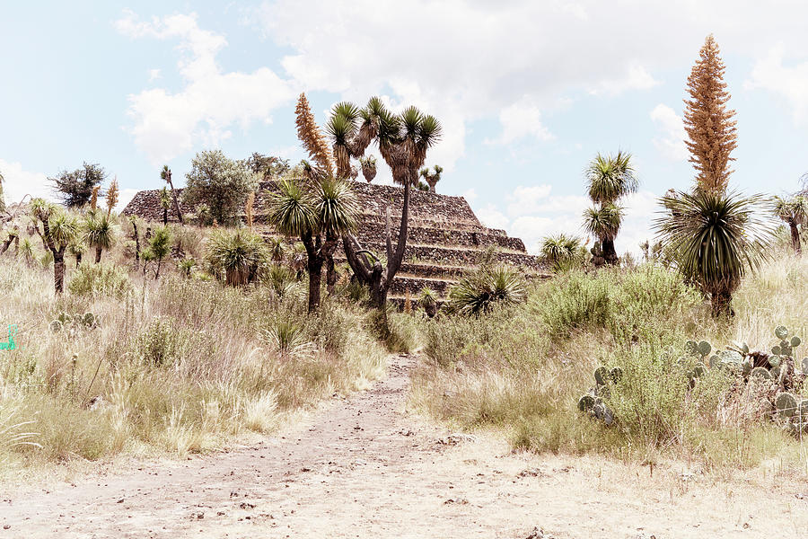 Viva Mexico Collection - Pyramid of Cantona Puebla Photograph by Philippe HUGONNARD
