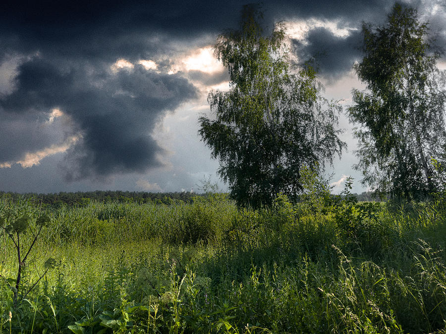 Vivaldi Summer Storm Photograph by Aleksandrs Drozdovs