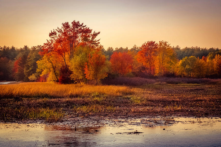 Vivid Autumn colors of autumn 2 Photograph by Lilia S