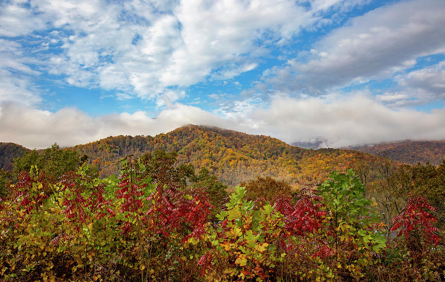 Vivid Autumn Colors On Foothills Parkway Photograph by Dan Sproul