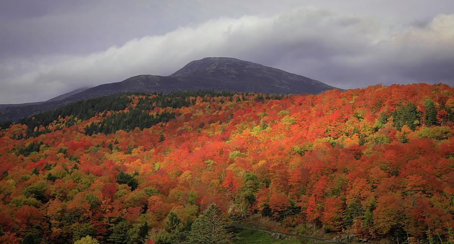 Vivid Autumn Landscape New Hampshire Photograph by Dan Sproul