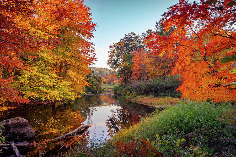 Vivid colors of autumn 4 Photograph by Lilia D