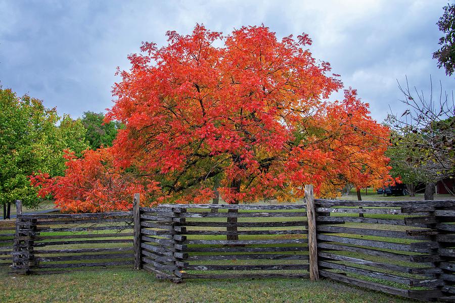 Vivid Colors of Fall in the Hill Country Photograph by Lynn Bauer