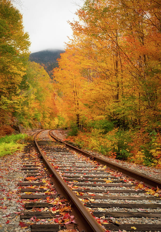 Vivid Fall Train Tracks Crawford Notch Photograph by Dan Sproul