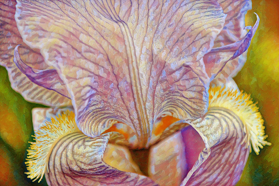 Vivid Illustrated Iris Flower Close Up Digital Art by Gaby Ethington