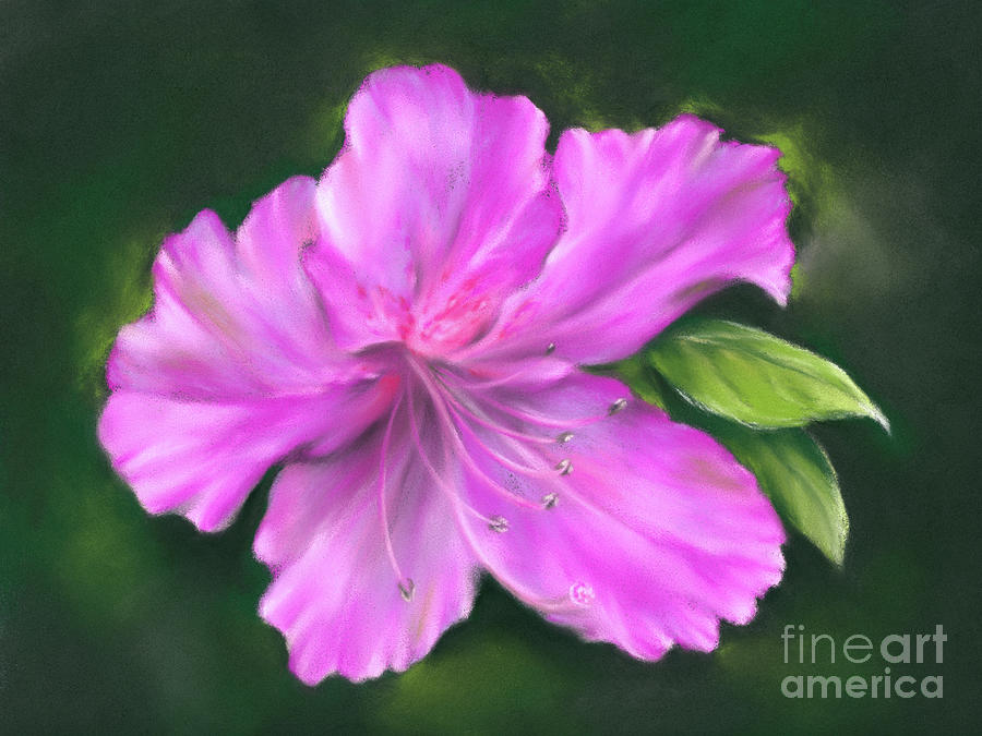 Vivid Pink Azalea with Green Foliage Painting by MM Anderson