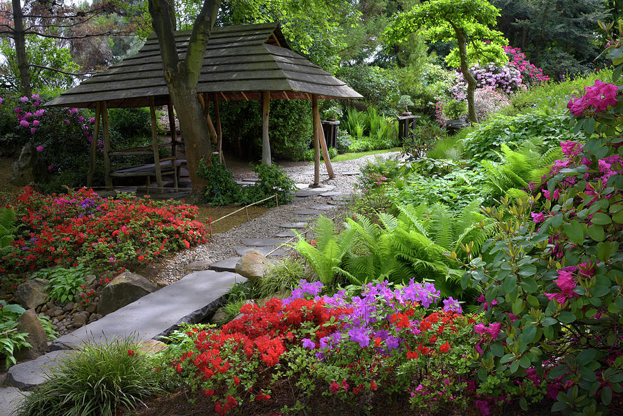 Vivid Spring In Japanese Garden 6 Photograph