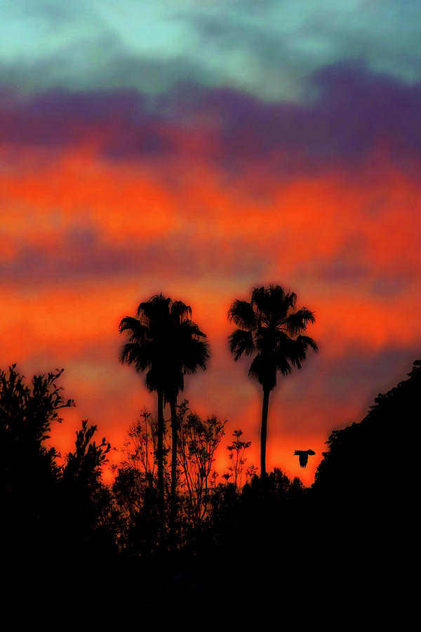 Vivid Sunset Photograph by Jerry Cowart