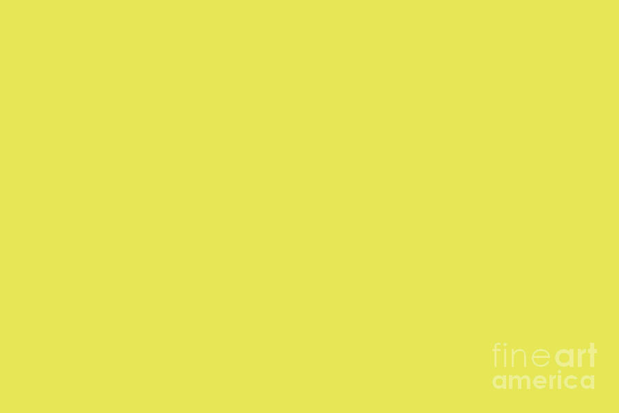 Vivid Yellow Solid Color Pairs Pantones 2021 Color of the Year Illuminating 13-0647 Digital Art by PIPA Fine Art - Simply Solid