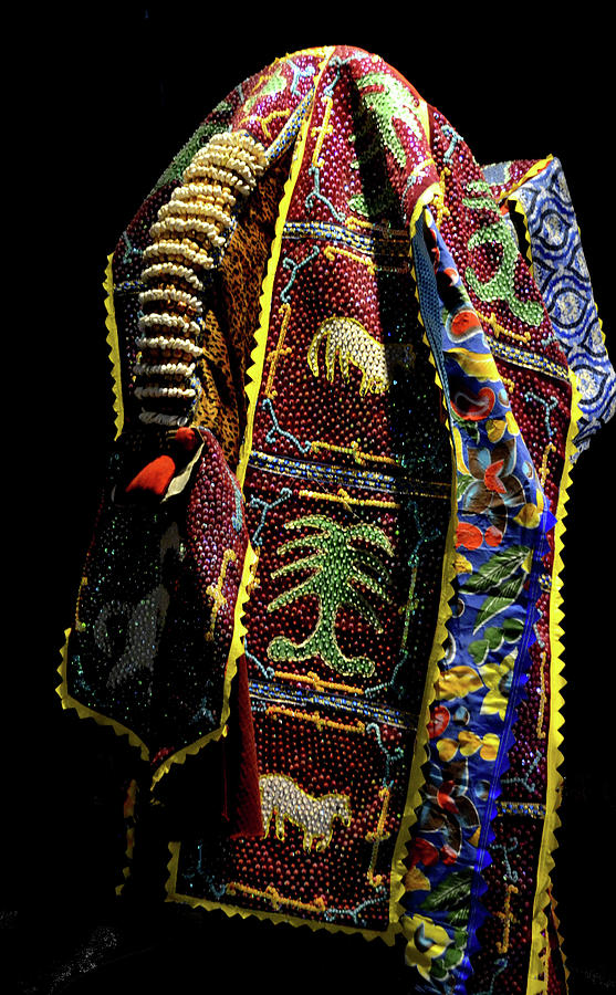 Vodou Celebration Costume 1 Photograph by Nadalyn Larsen