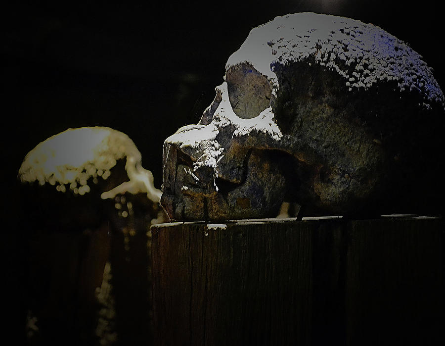 Vodou Human Skulls Photograph by Nadalyn Larsen