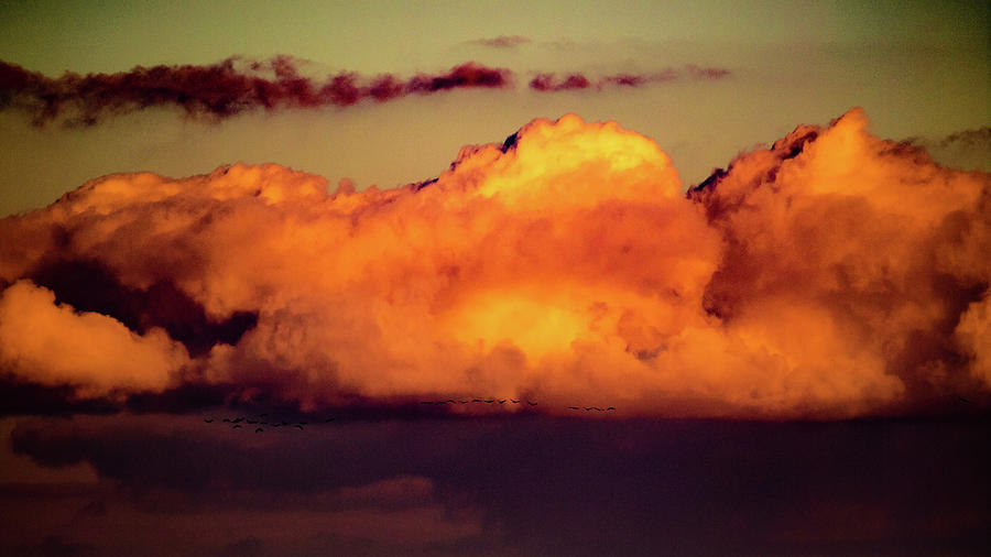 Voegel An Den Wolken # 1 Photograph by Jorg Becker