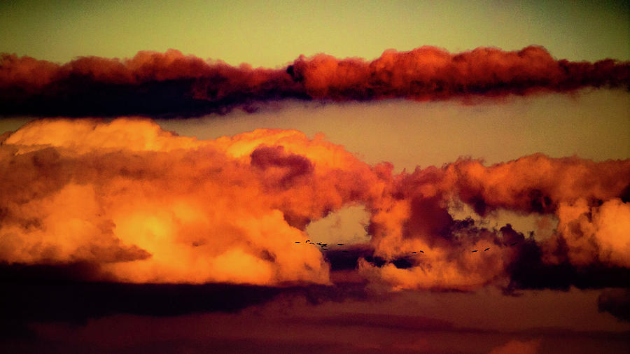 Voegel An Den Wolken # 3 Photograph by Jorg Becker