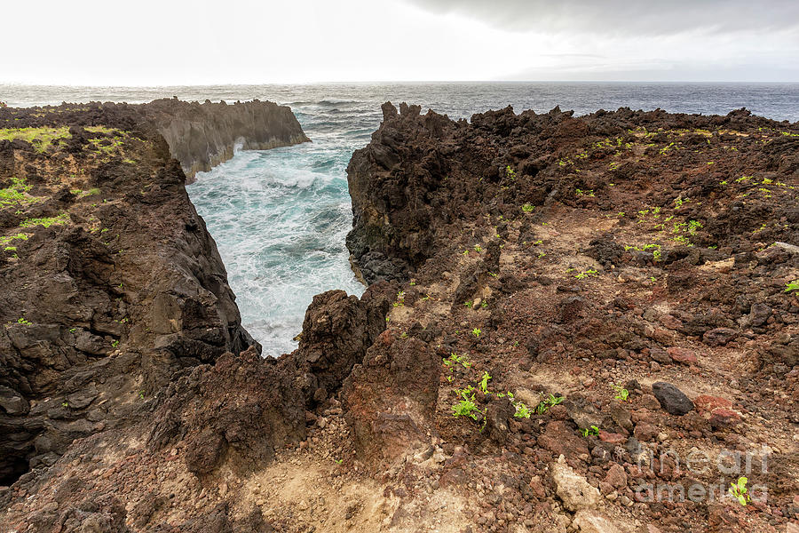 Volcanic Azores Coast Photograph By Danaan Andrew - Fine Art America