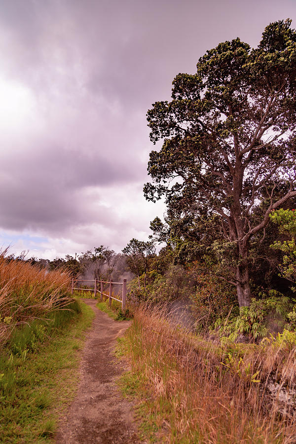Volcanoes National Park Photograph by Cindy Robinson
