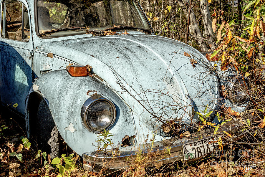 Landscape Photograph - Volkswagen Beetle by Alana Ranney
