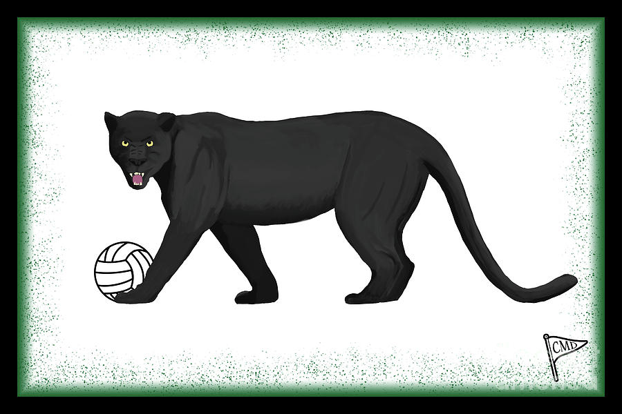Panther Digital Art - Volleyball Black Panther Green by College Mascot Designs