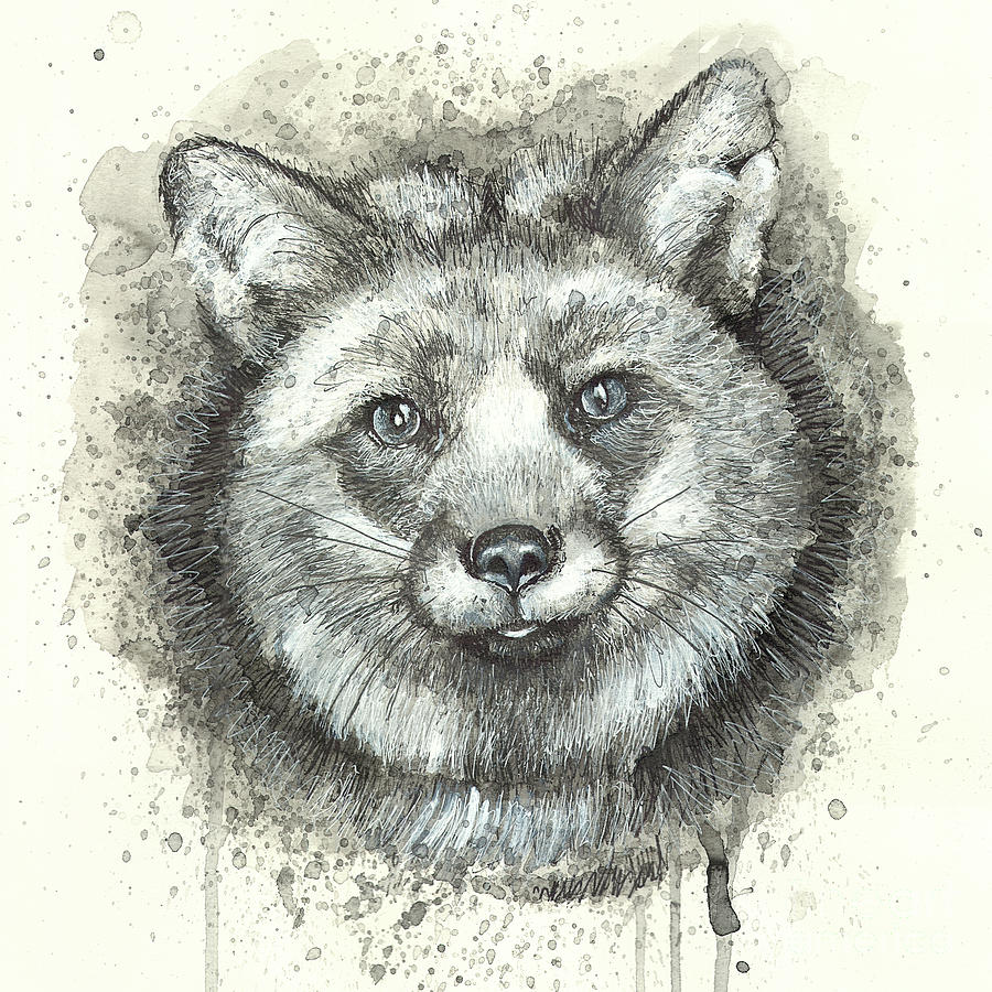 Volpicelli Little Fox Drawing