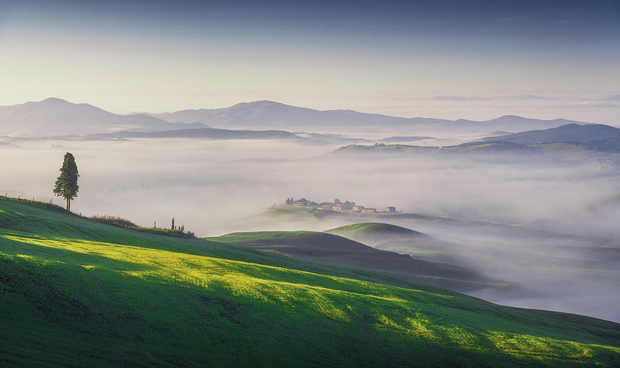 Volterra foggy landscape, tree, rolling hills and green fields a Photograph by Stefano Orazzini