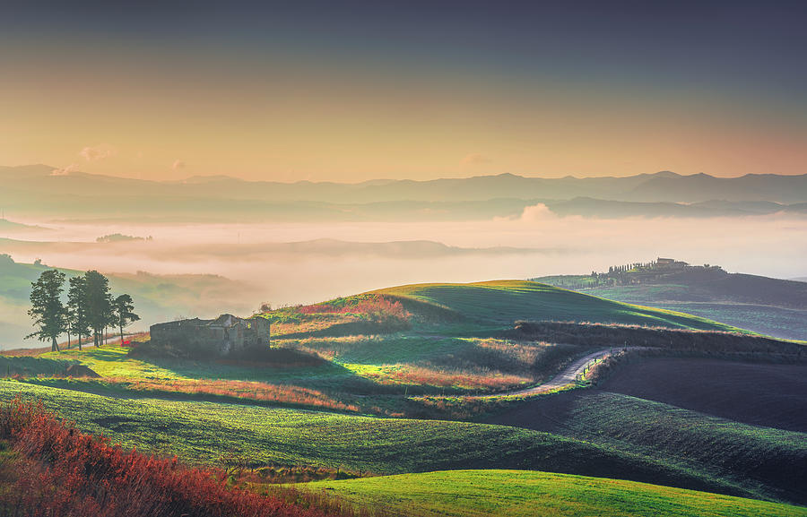 Volterra foggy landscape, tree, rolling hills, road and green fi Photograph by Stefano Orazzini