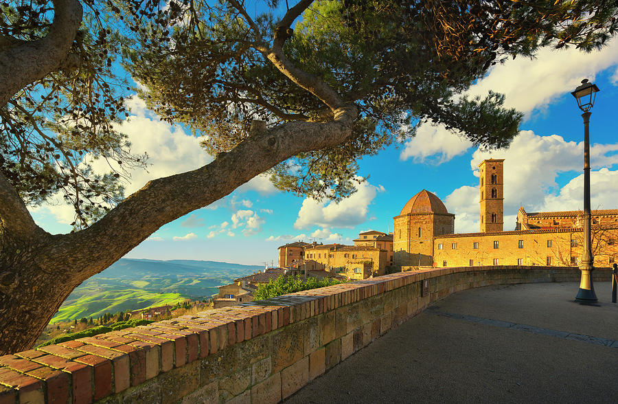 Volterra Skyline and a Tree Photograph by Stefano Orazzini