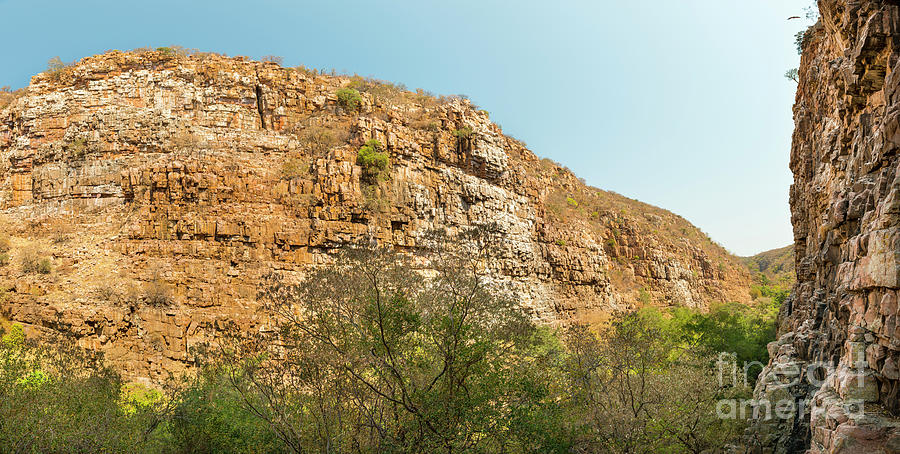 Vulture Gorge Botswana Africa Photograph by THP Creative