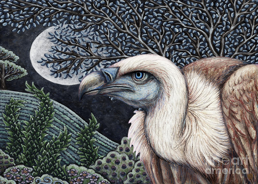 Vulture Moon Painting by Amy E Fraser