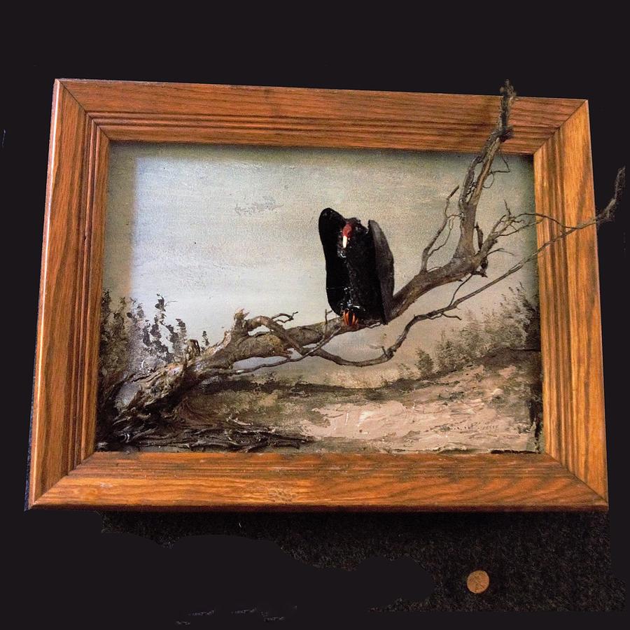 Vulture on Dead Tree Mixed Media by Roger Swezey
