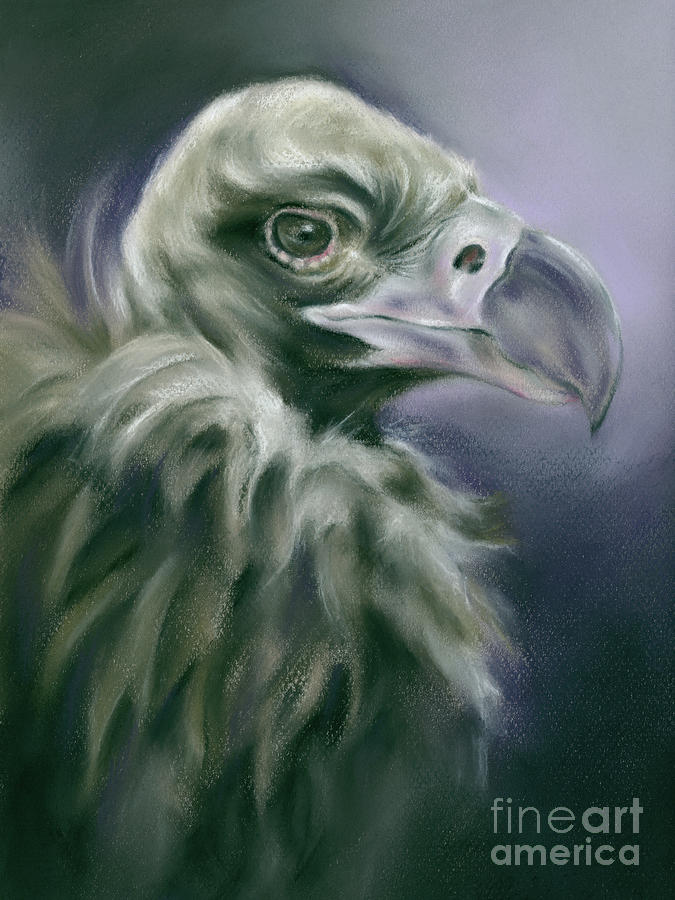 Vulture Portrait with Purple Painting by MM Anderson