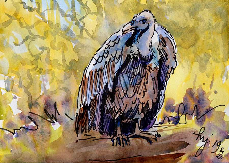 Vulture watercolor painting Painting by Mike Jory