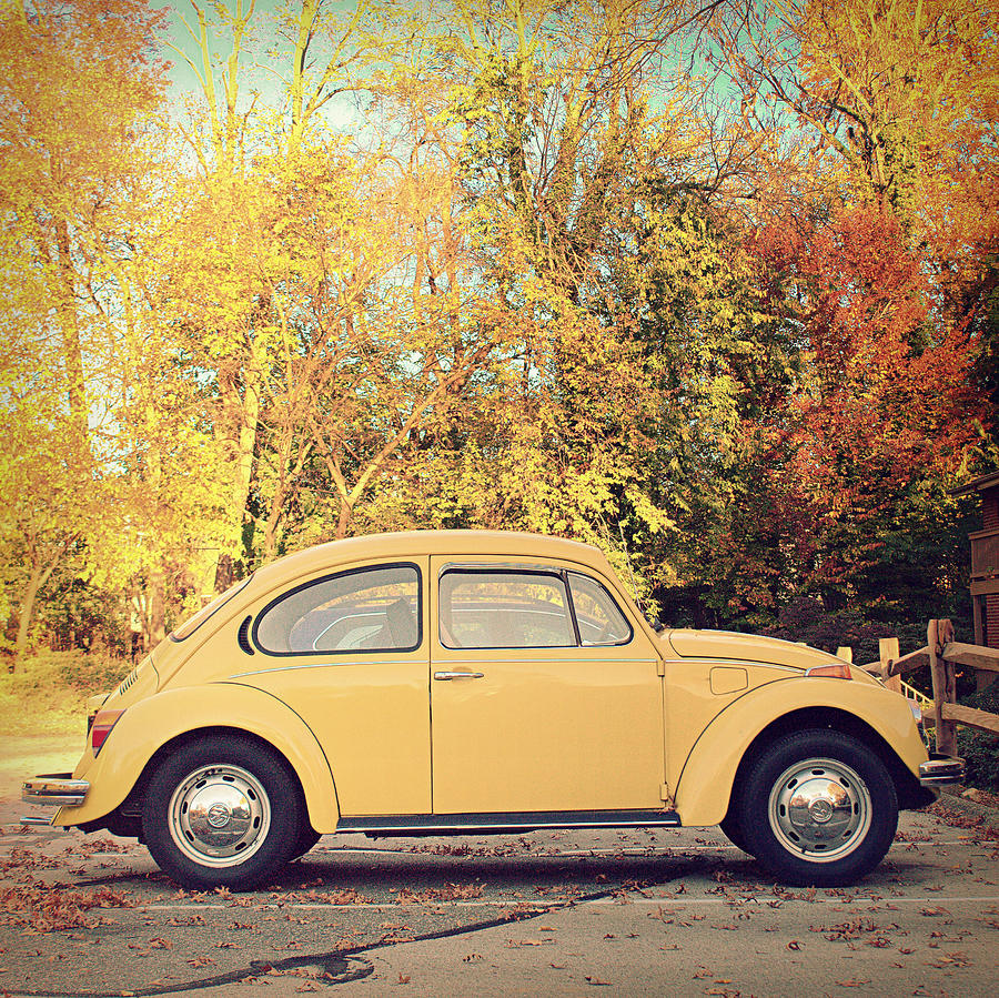 VW Beetle Autumn Photograph by Joseph Skompski