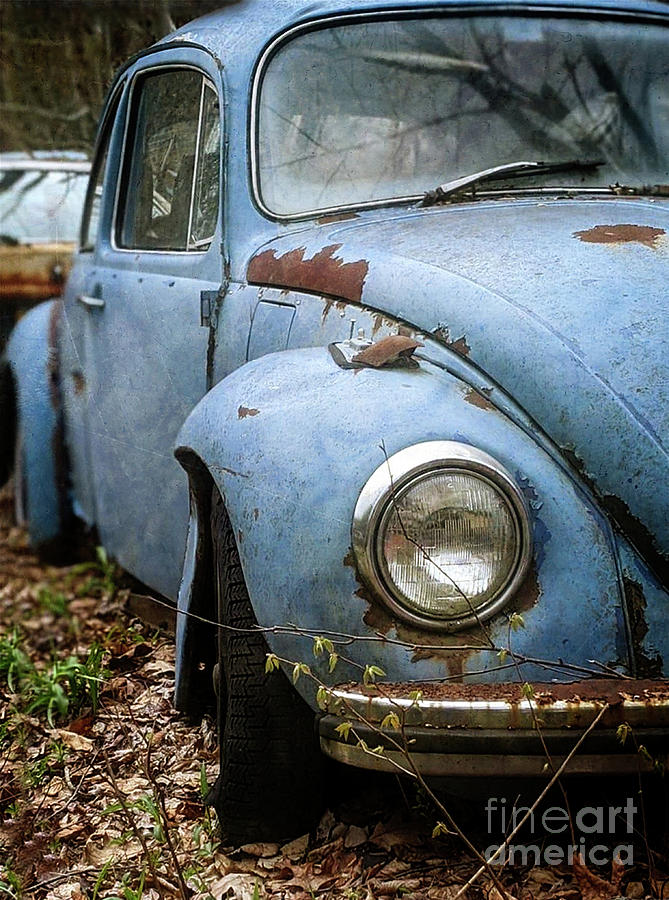 VW Beetle  Photograph by Doc Braham