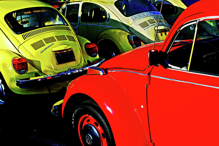 VW Beetles. Photograph by Bill Jonscher