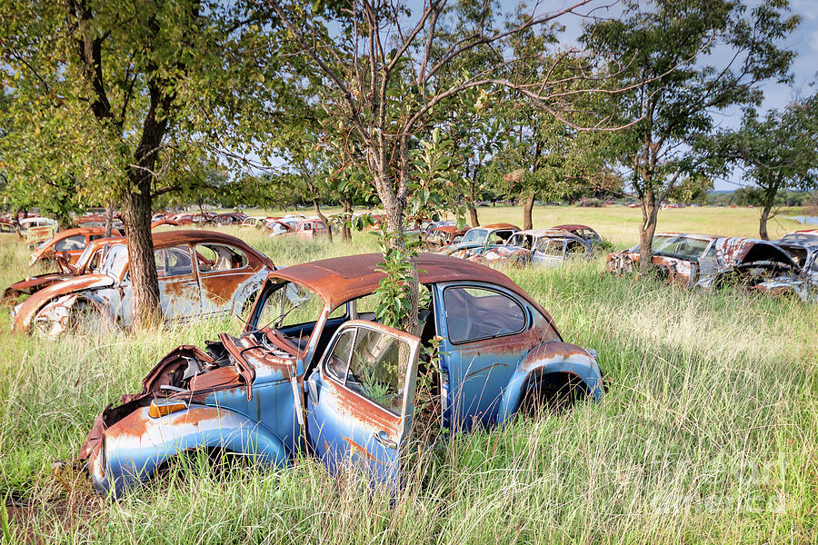 VW Graveyard 3507 Photograph by Lawrence Burry