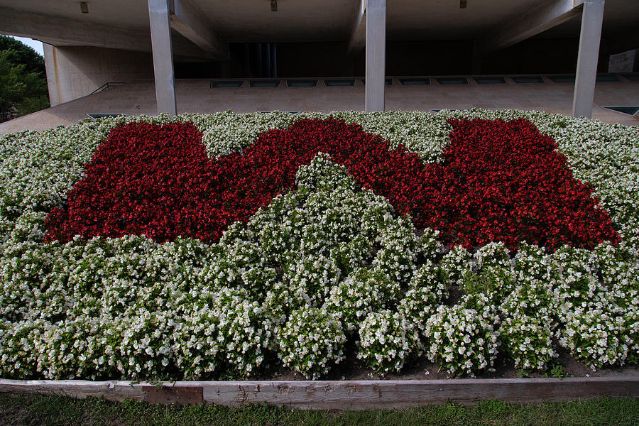 W flower bed at the University of Wisconsin Photograph by Eldon McGraw