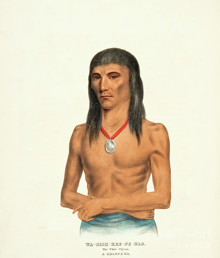 WABISHKEEPENAS White Dove a Chippeway Ojibwe man s4 Painting by ...