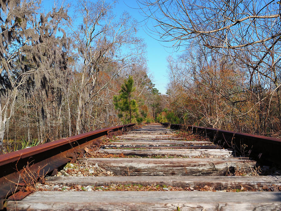 Waccamaw Coast Line Railroad Tracks and Ties Photograph by Bill Swartwout