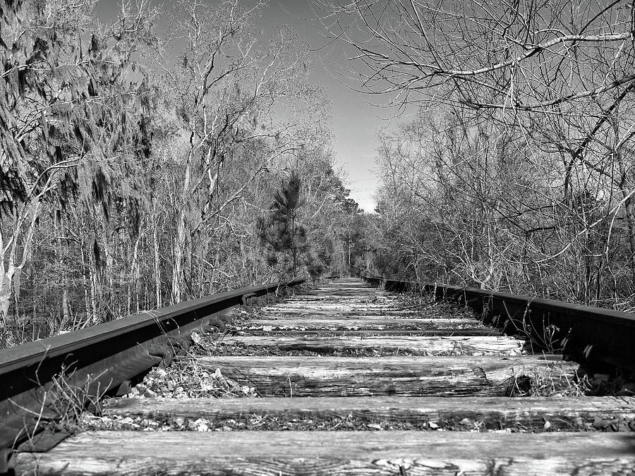 Waccamaw Coast Line Railroad Tracks Black and White Photograph by Bill Swartwout