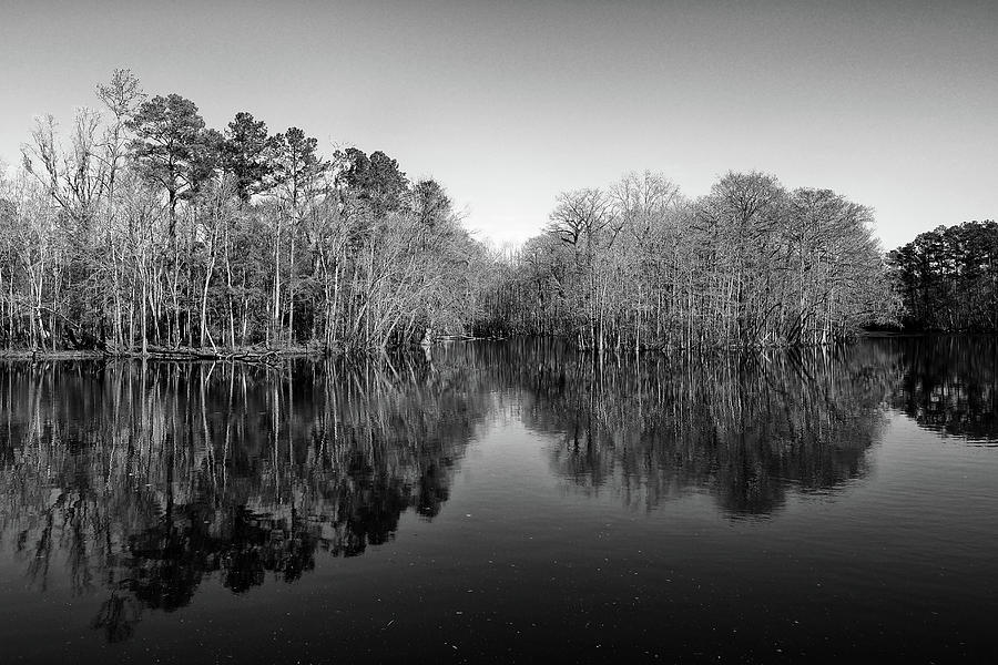 Waccamaw River at Conway in Black and White Photograph by Bill Swartwout