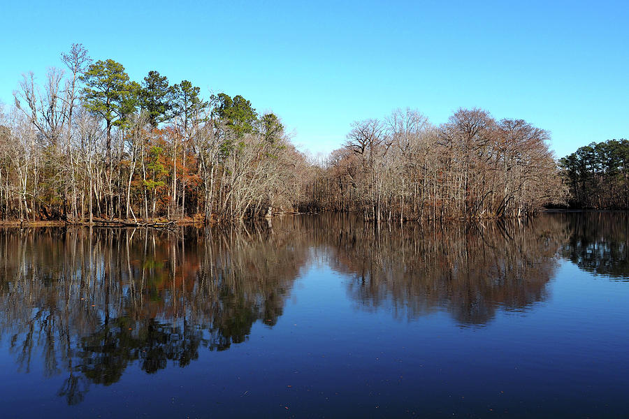 Waccamaw River Flows by Conway, South Carolina Photograph by Bill Swartwout