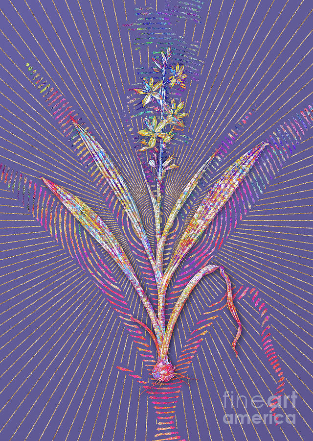 Wachendorfia Thyrsiflora Mosaic Botanical Art on Veri Peri n.0429 Mixed Media by Holy Rock Design