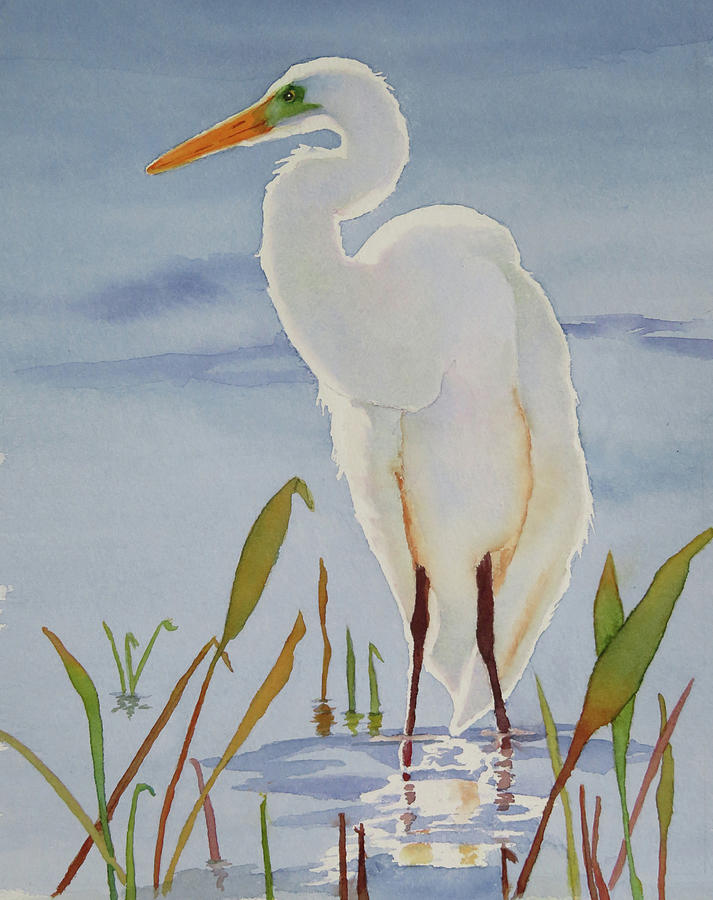 Wading for Lunch Painting by Judy Mercer